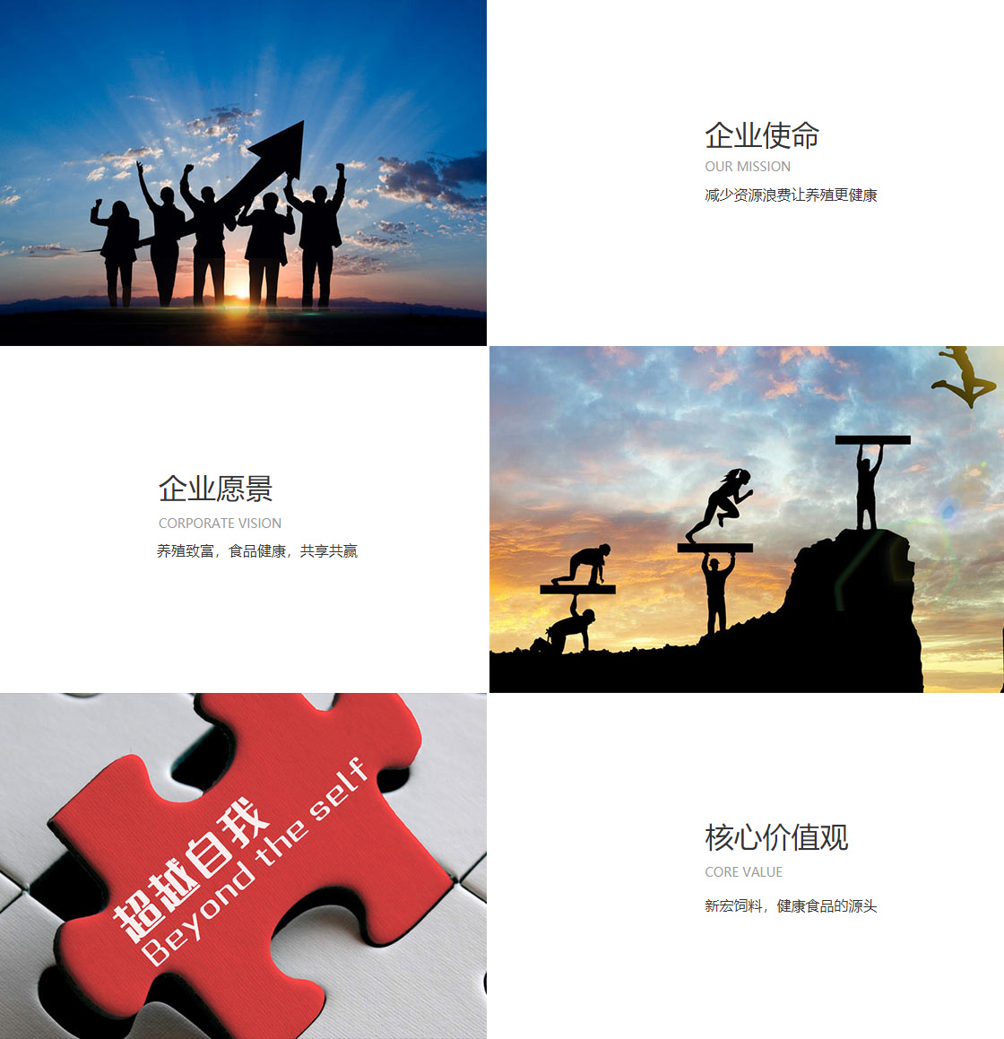 半岛真人客户端(图1)